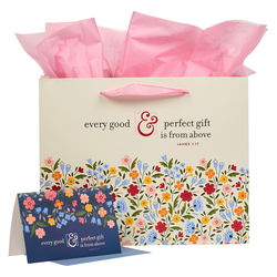 Image of Gift Bag w/ Card LG Landscape Cream/Blue/Pink Every Good & Perfect Gift James 1: