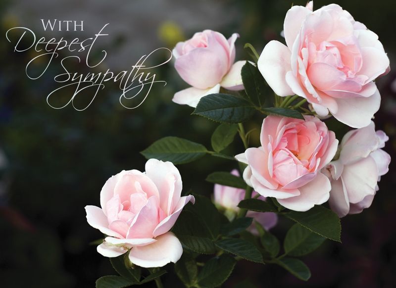 Product 540-0069 - View 2 540-0069 Product Image 2