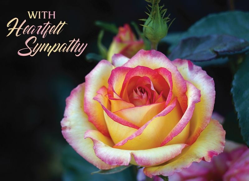 Product 540-0069 - View 4 540-0069 Product Image 4