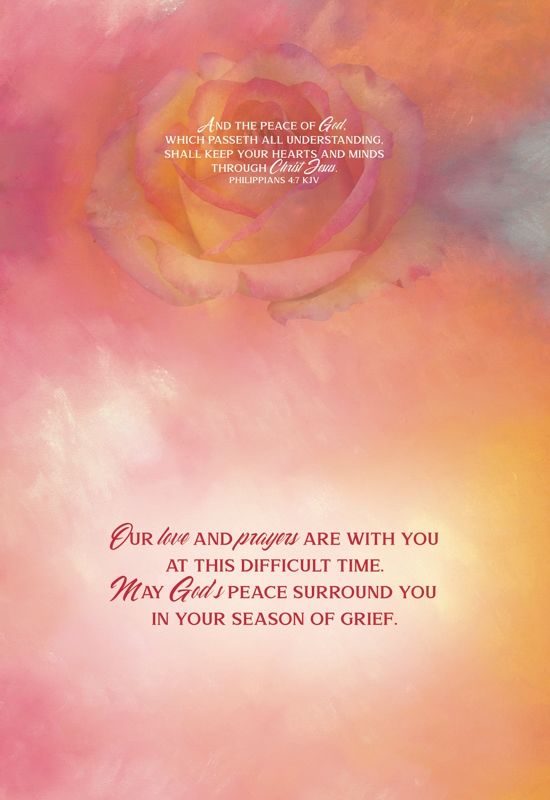 Product 540-0069 - View 5 540-0069 Product Image 5