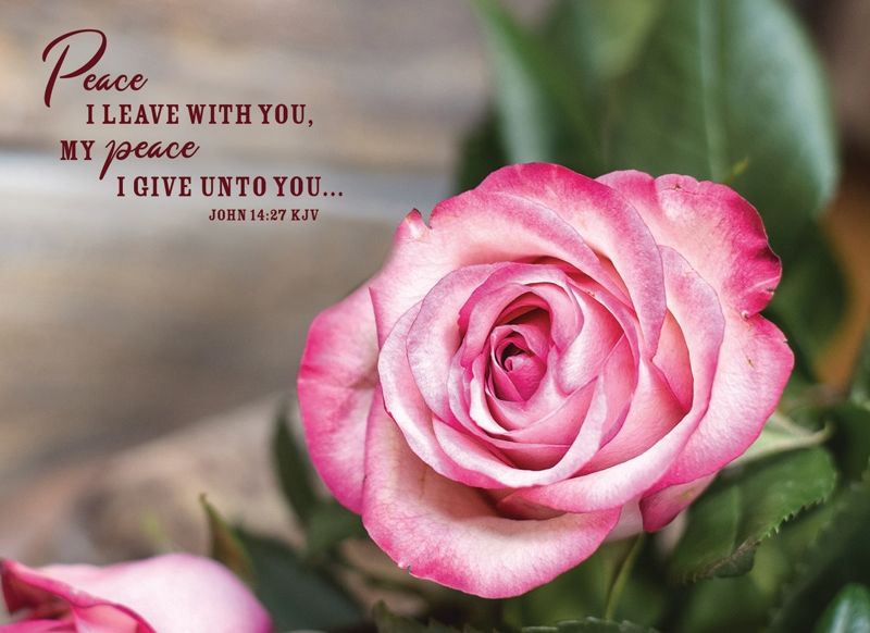 Product 540-0069 - View 6 540-0069 Product Image 6