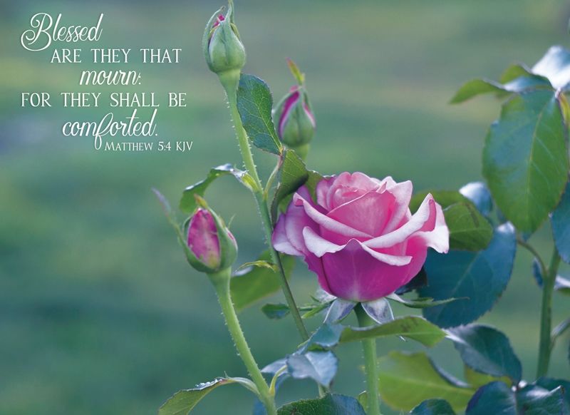 Product 540-0069 - View 8 540-0069 Product Image 8