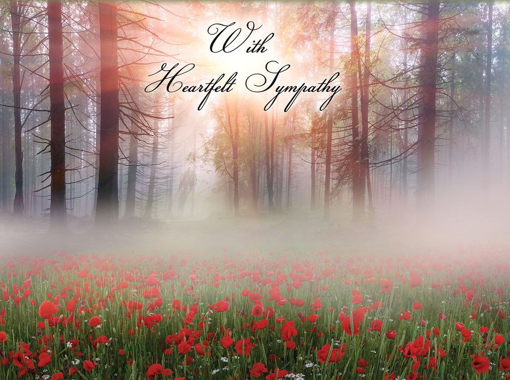 Product 540-0104 - View 2 540-0104 Product Image 2