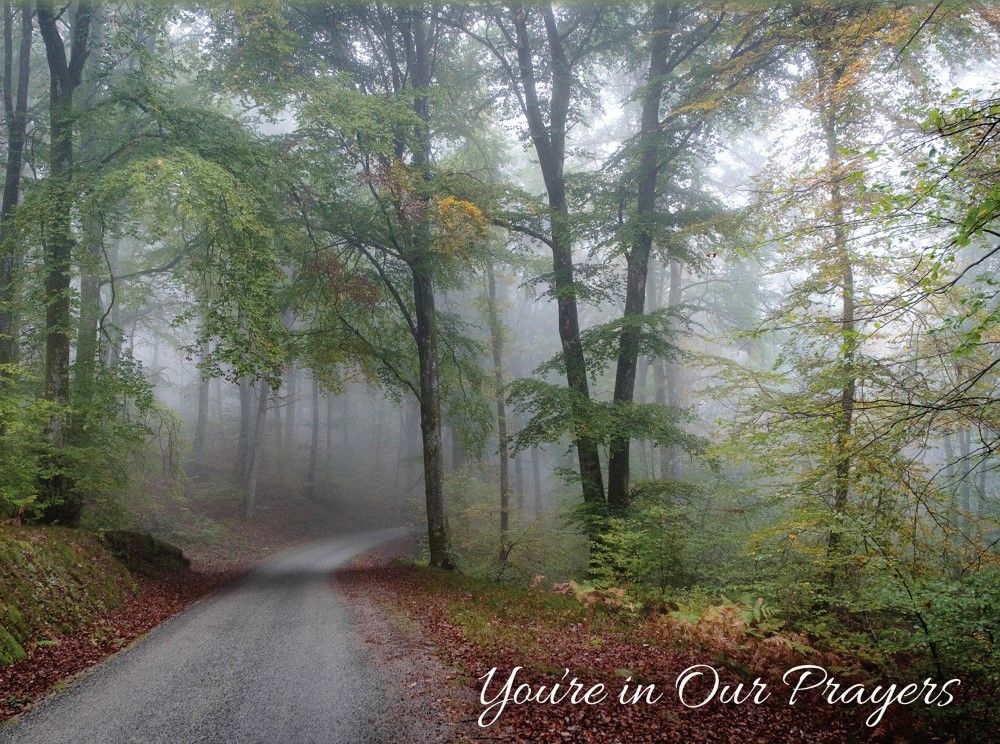 Product 540-0104 - View 4 540-0104 Product Image 4