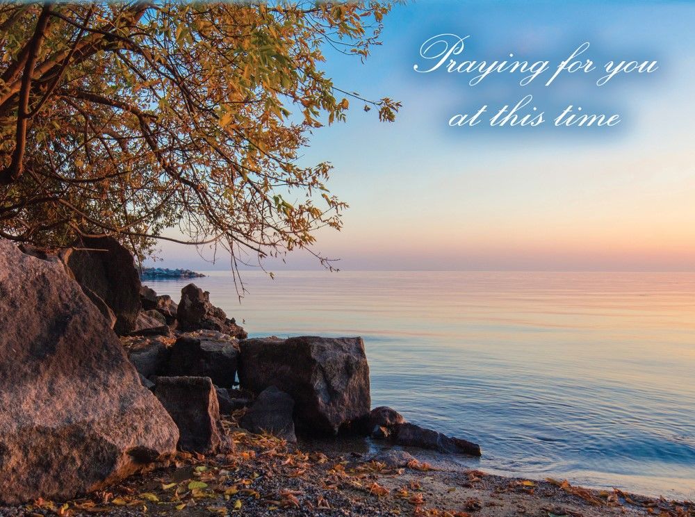 Product 540-0104 - View 6 540-0104 Product Image 6