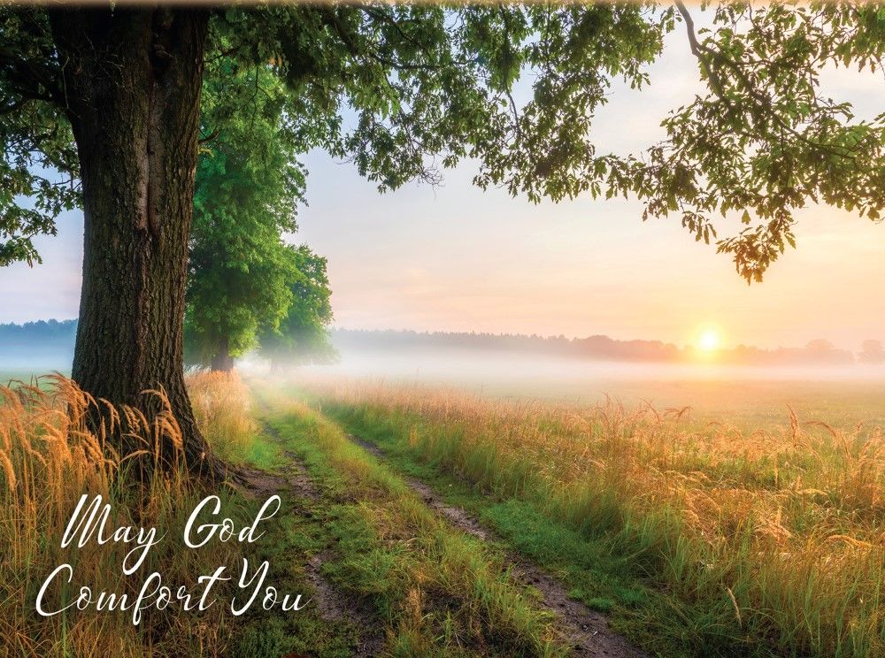 Product 540-0104 - View 8 540-0104 Product Image 8