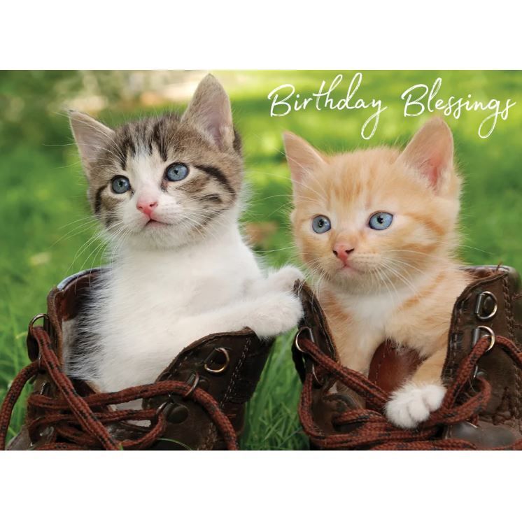 540-0139 Product Image 2