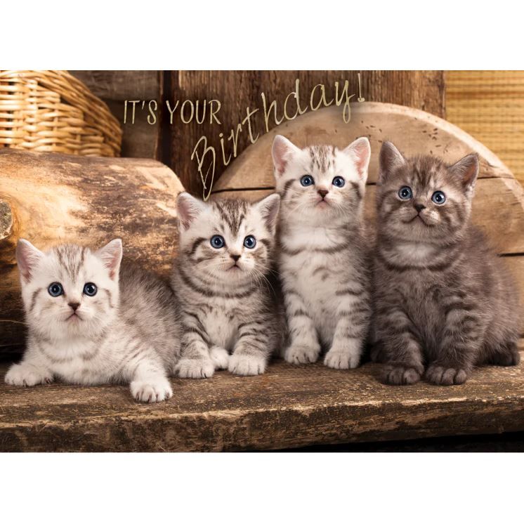 540-0139 Product Image 3