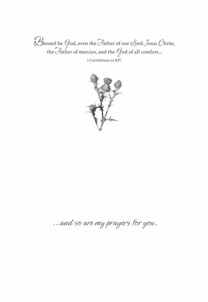 540-0145 Product Image 5