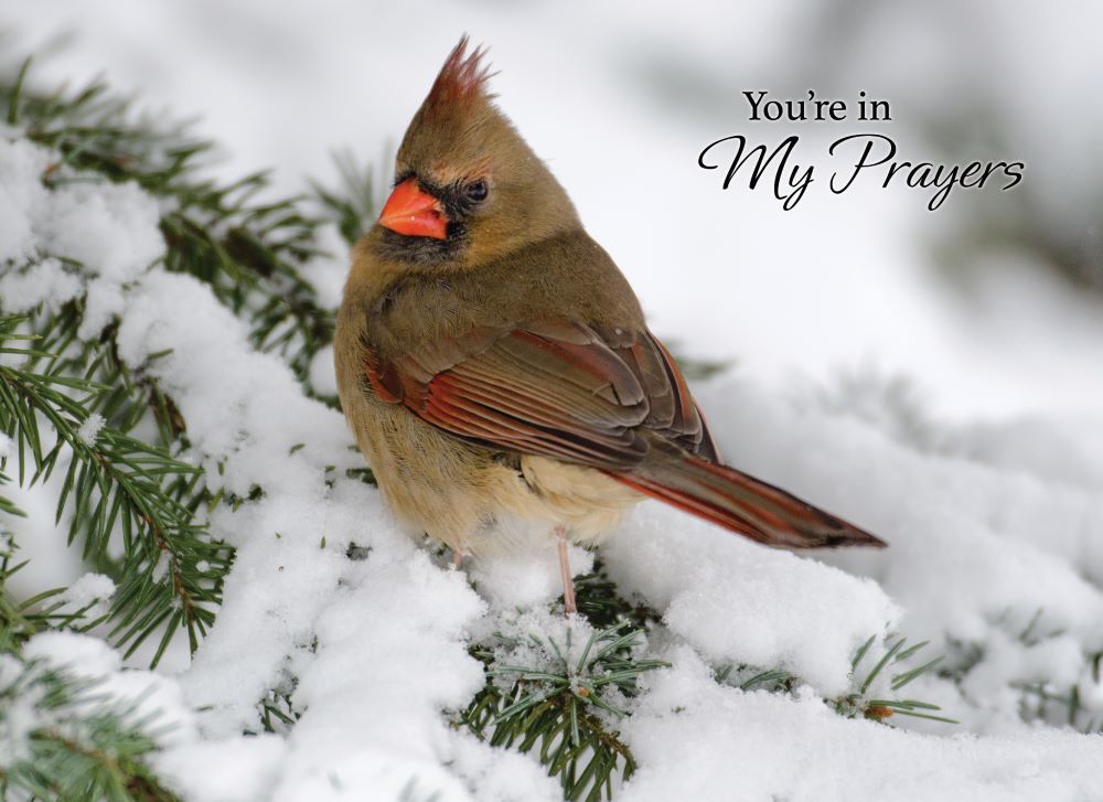 540-0145 Product Image 6