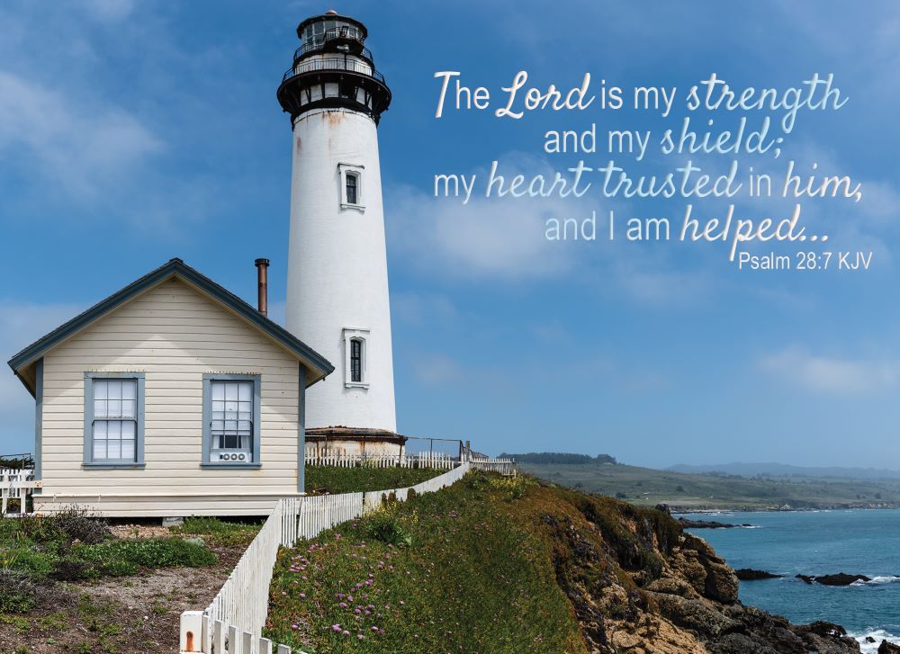 Product 540-0146 - View 2 540-0146 Product Image 2