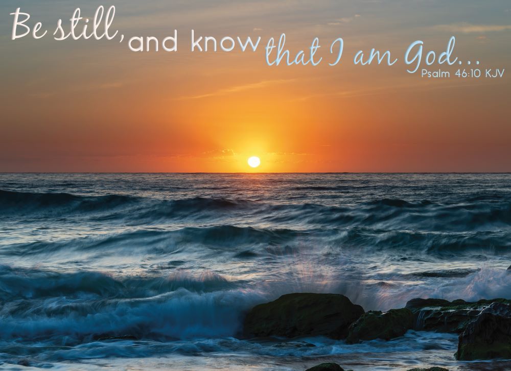 Product 540-0146 - View 6 540-0146 Product Image 6