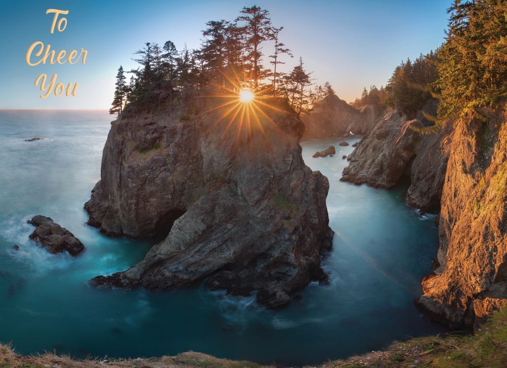 Product 540-0146 - View 8 540-0146 Product Image 8