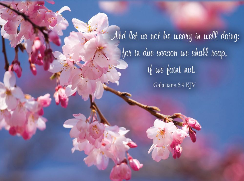 Product 540-0147 - View 2 540-0147 Product Image 2