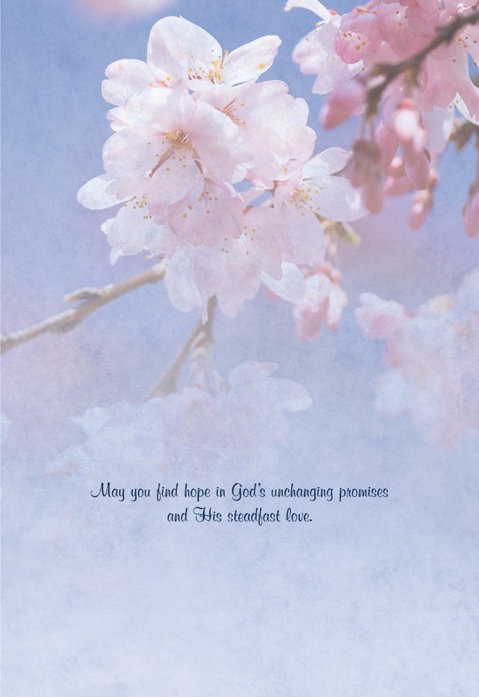 Product 540-0147 - View 3 540-0147 Product Image 3