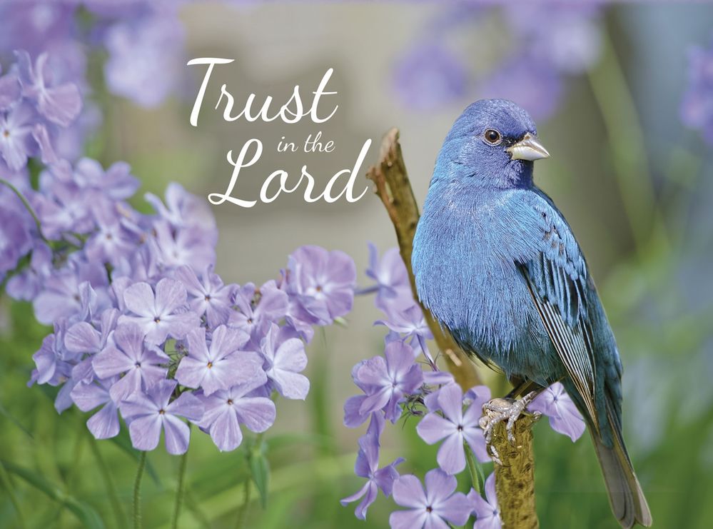 Product 540-0147 - View 4 540-0147 Product Image 4