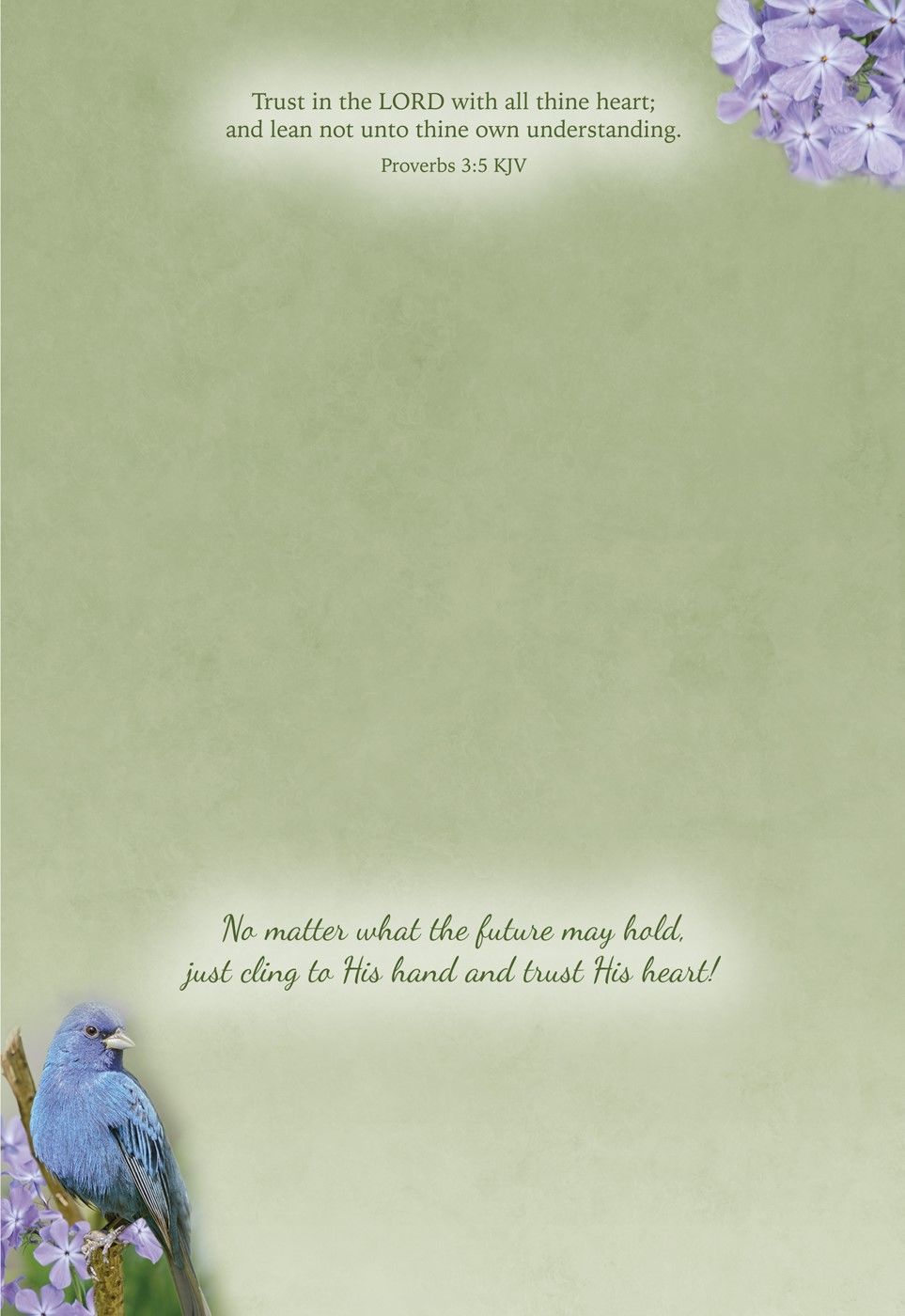 Product 540-0147 - View 5 540-0147 Product Image 5