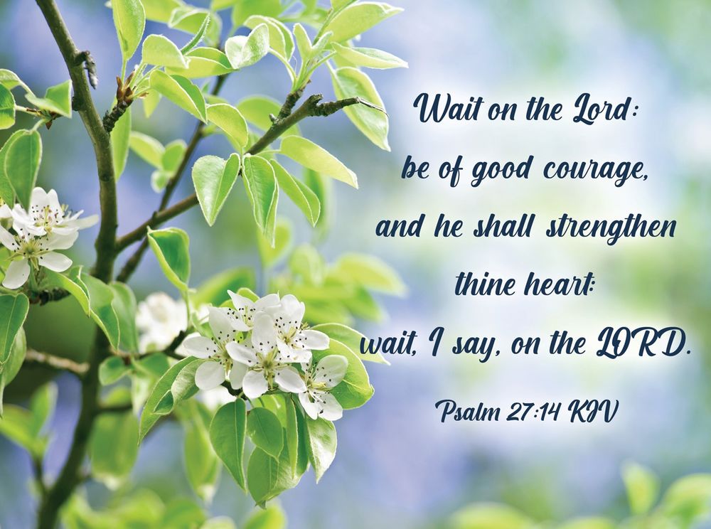 Product 540-0147 - View 6 540-0147 Product Image 6