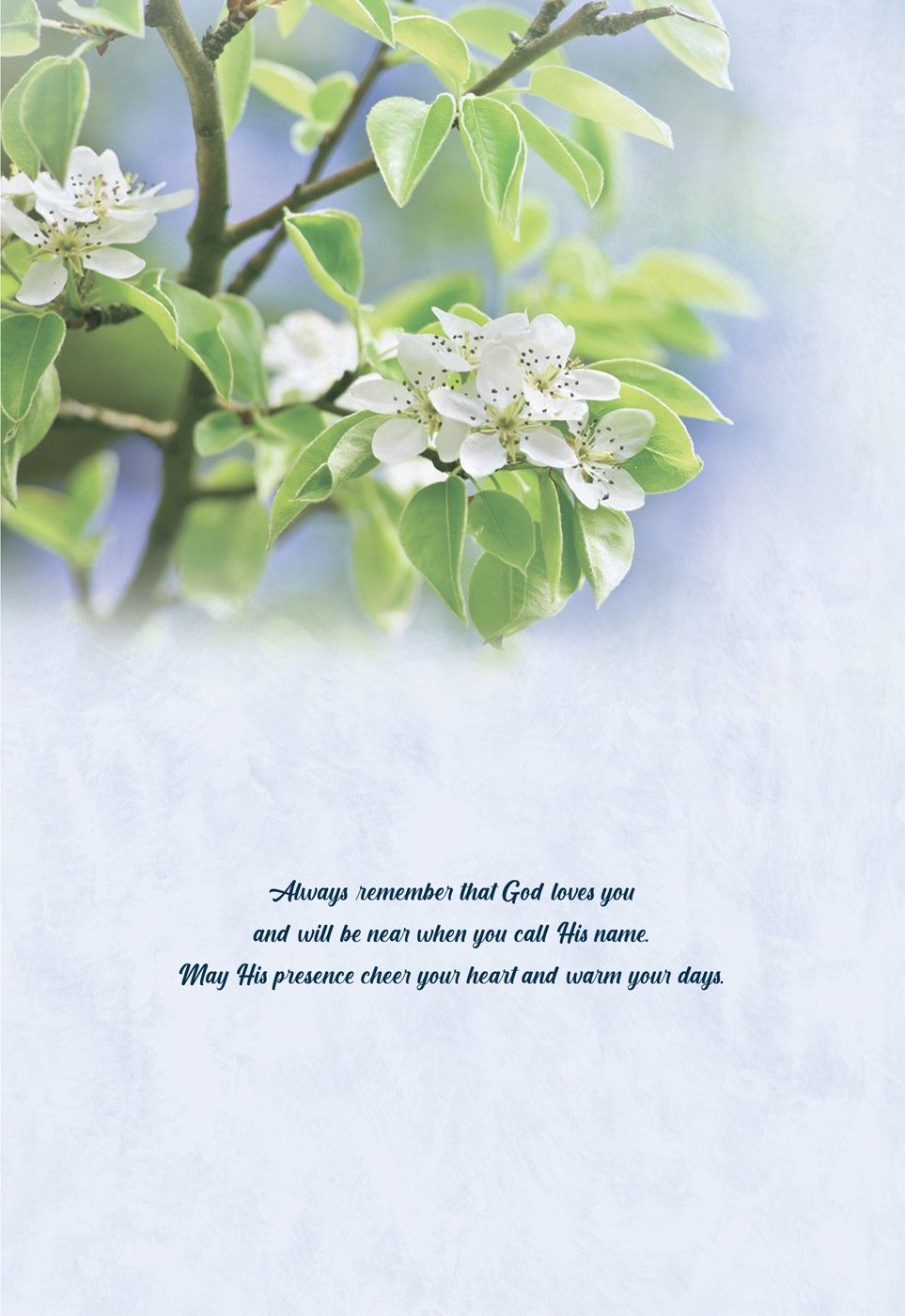 Product 540-0147 - View 7 540-0147 Product Image 7