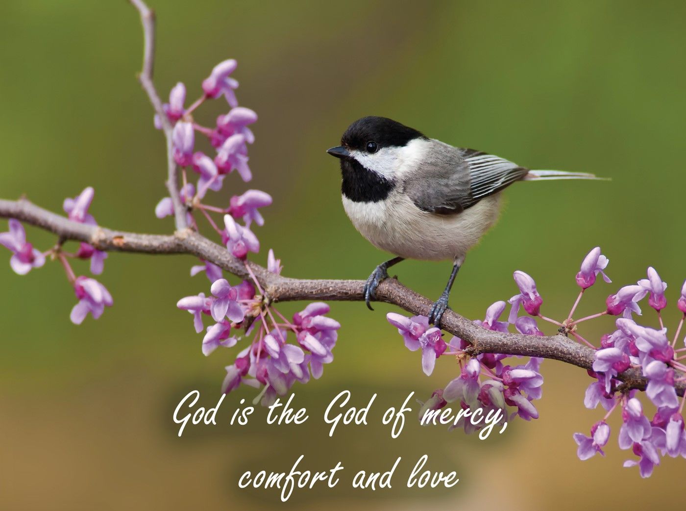 Product 540-0147 - View 8 540-0147 Product Image 8