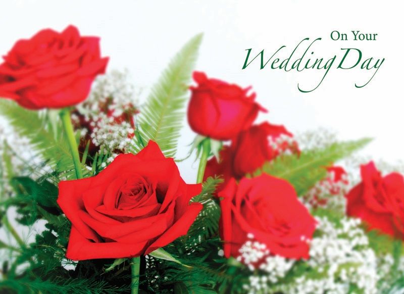 Product 540-0150 - View 2 540-0150 Product Image 2