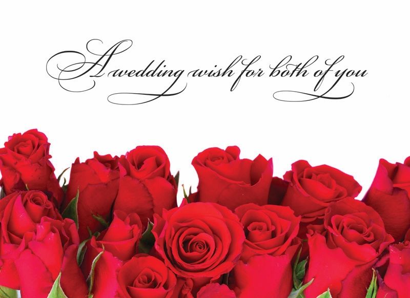 Product 540-0150 - View 4 540-0150 Product Image 4