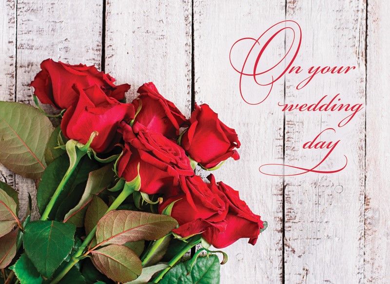 Product 540-0150 - View 6 540-0150 Product Image 6