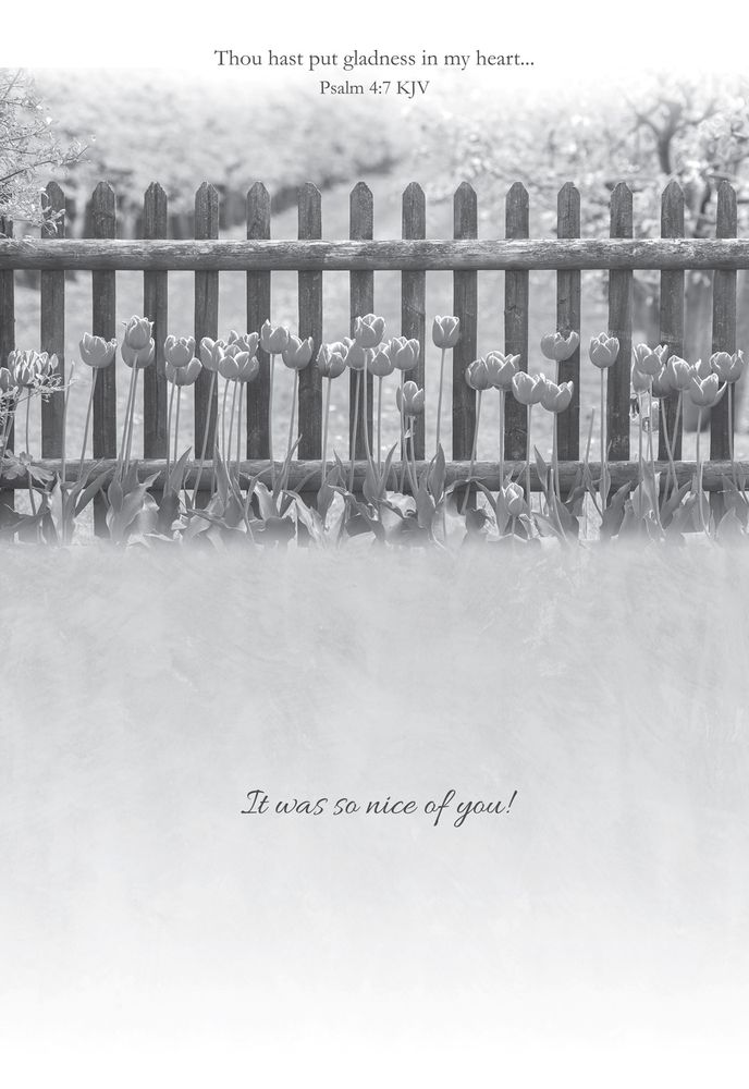 Product 540-0153 - View 5 540-0153 Product Image 5