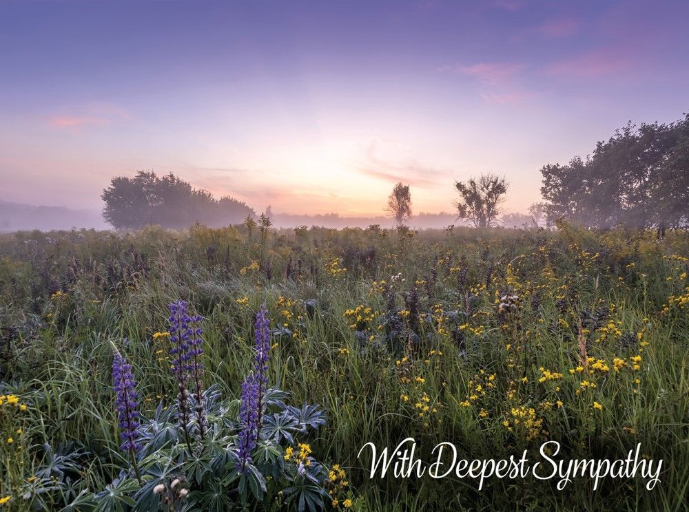 540-0158 Product Image 2