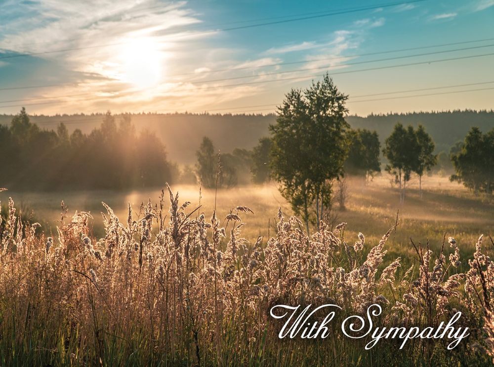 540-0158 Product Image 6