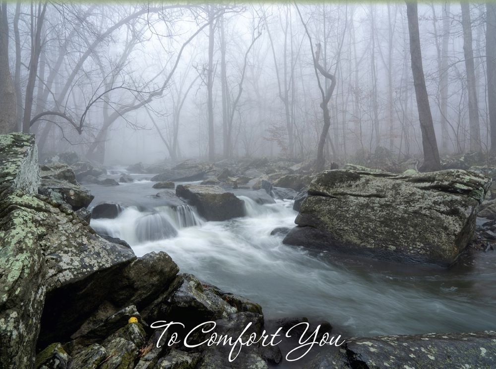 540-0158 Product Image 8