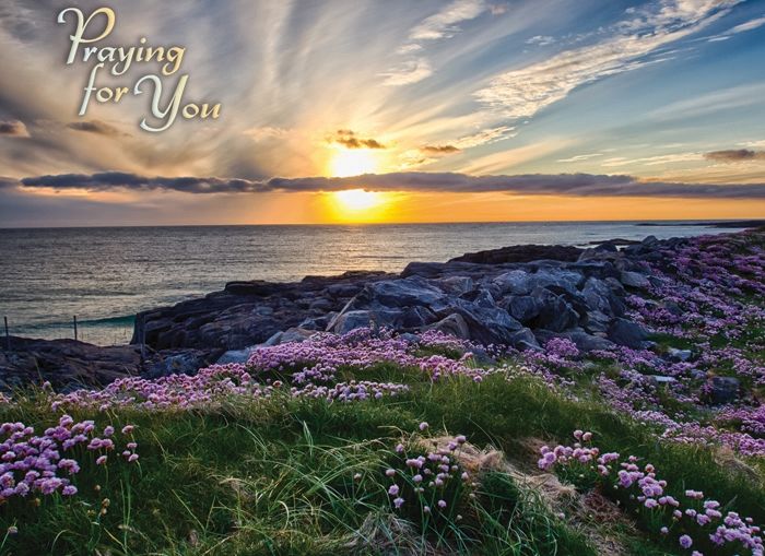 Product 540-0159 - View 2 540-0159 Product Image 2