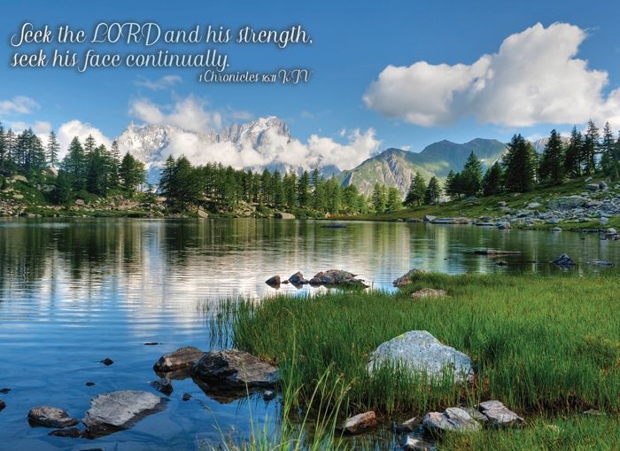 Product 540-0159 - View 4 540-0159 Product Image 4