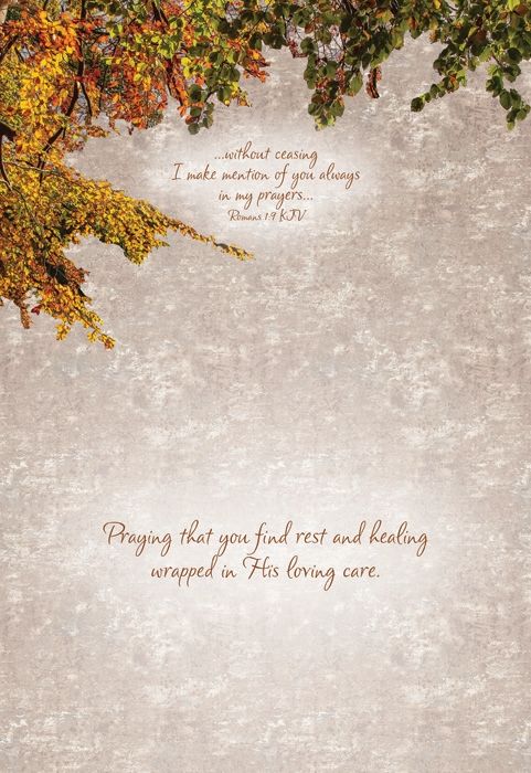 Product 540-0159 - View 7 540-0159 Product Image 7