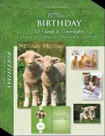 Image of Fun & Feathers – Children’s Birthday Cards