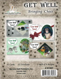 Image of Bringing Cheer – Get Well Cards