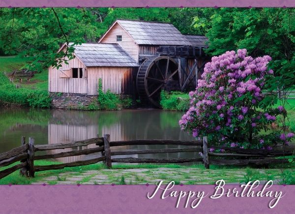 540-0248 Product Image 9