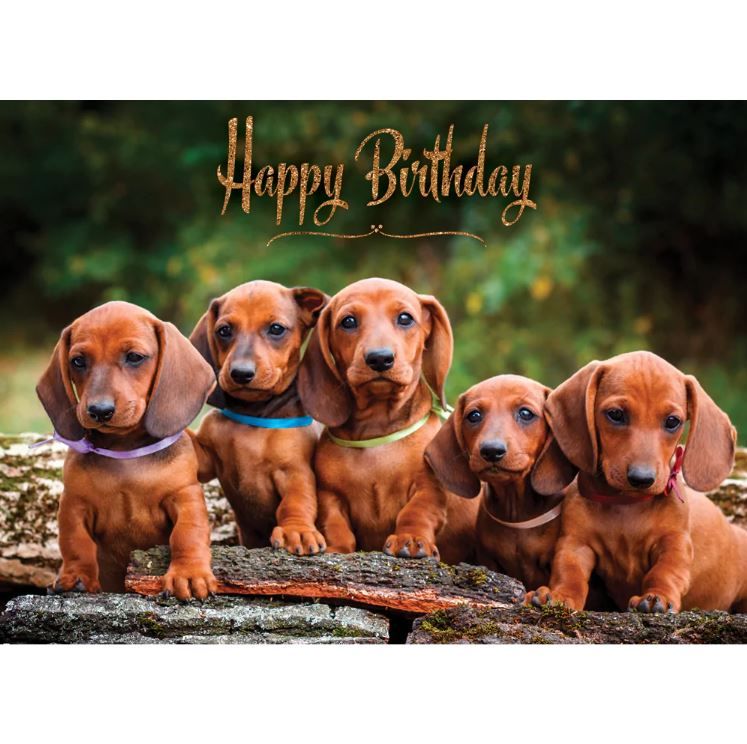 540-0281 Product Image 4