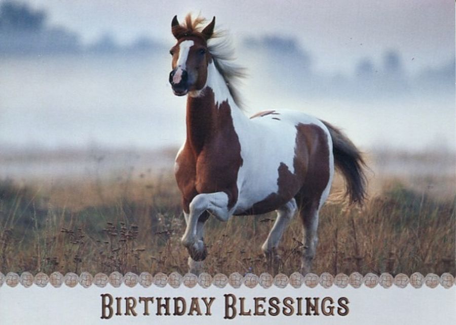 Product 540-0282 - View 2 540-0282 Product Image 2