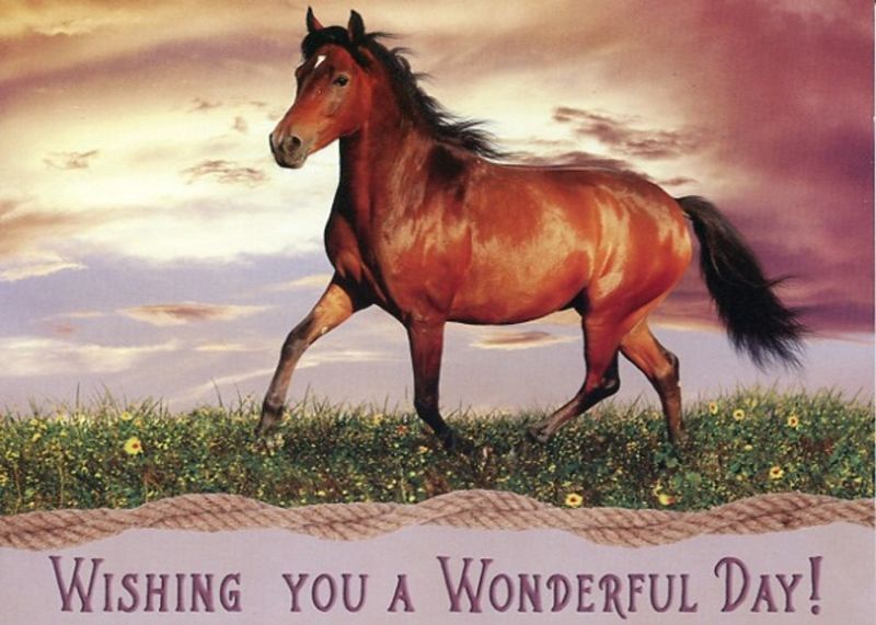 Product 540-0282 - View 4 540-0282 Product Image 4