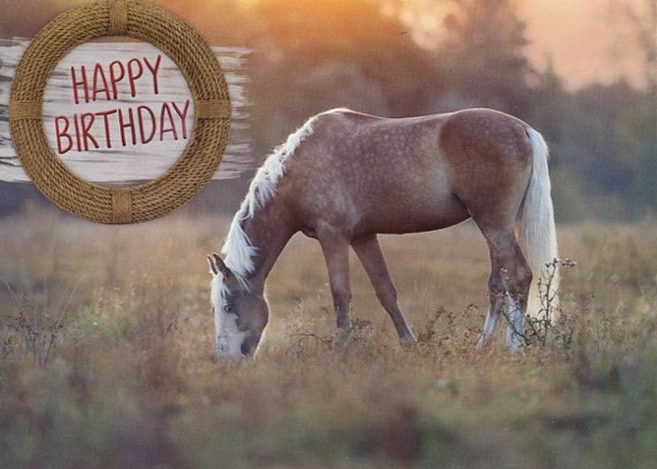 Product 540-0282 - View 5 540-0282 Product Image 5