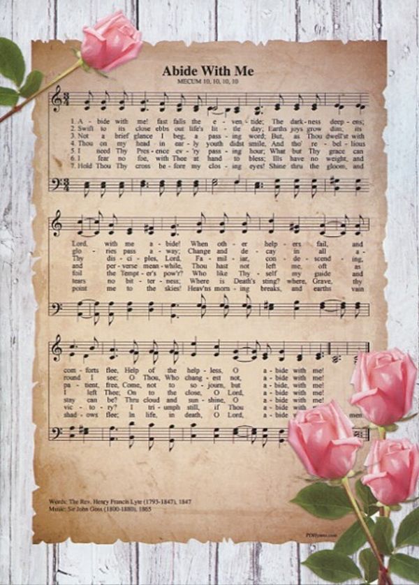 540-0285 Product Image 2