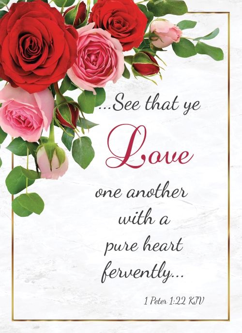 Product 540-0288 - View 5 540-0288 Product Image 5