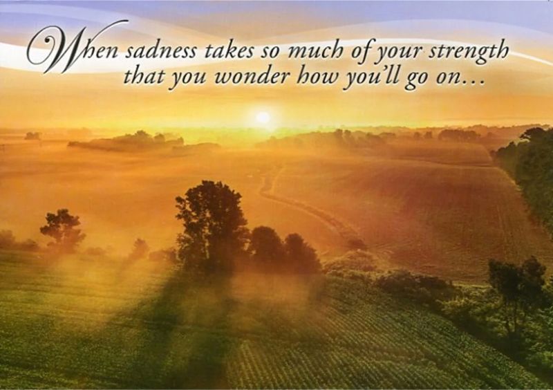 Product 540-0313 - View 1 540-0313 Product Image 1