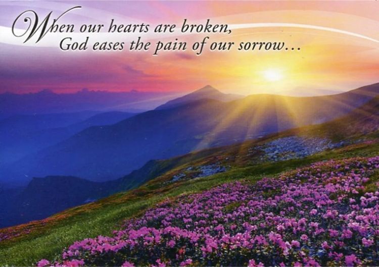 Product 540-0313 - View 2 540-0313 Product Image 2