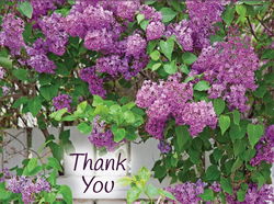 Image of Boxed Thank You Cards – Heartfelt Thanks