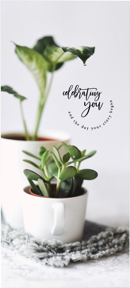 540-0317 Product Image 1