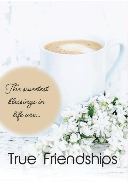 540-0319 Product Image 1