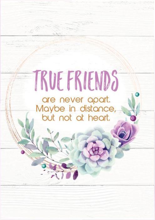 540-0319 Product Image 2