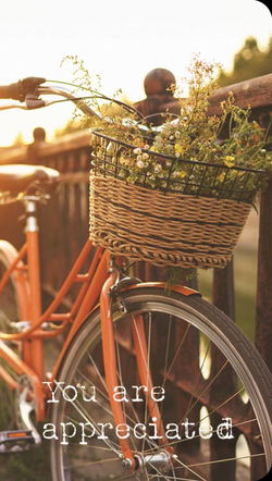 Image of You’re Appreciated Premium Note Cards 3 pk.